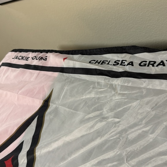 Las Vegas Aces banner. 2023 World Champions WNBA. - Picture 4 of 8